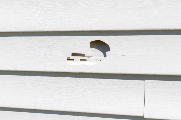 How To Choose The Right Materials for Your Siding Installation in 'Fall River, WI